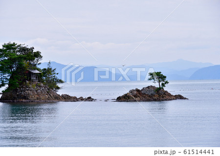 伊根湾の風景 伊根湾の風景 61514441