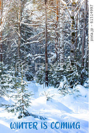 WINTER IS COMING handwritten inscription. Winter landscape 61514997