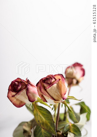 dried rose flowers dried rose flowers 61515128