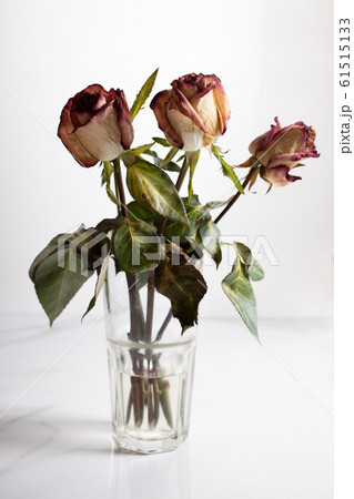 dried rose flowers dried rose flowers 61515133