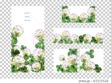 シロツメクサの花 フレーム バナーのイラスト素材