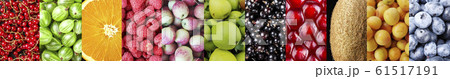 different fruits set 61517191