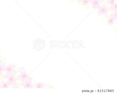 ピンクの桜とシンプルな白背景 メッセージカードのイラスト素材