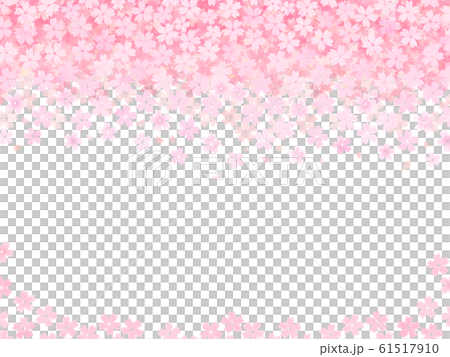 舞い落ちる桜の花のおめでたい背景　赤とピンクと白のフレーム 61517910