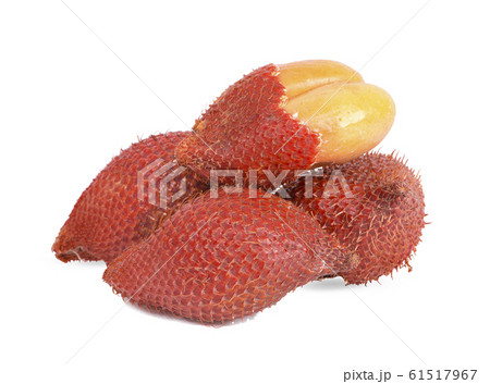 Salak fruit, Salacca zalacca an isolated on the Salak fruit, Salacca zalacca an isolated on the 61517967