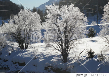 樹氷 樹氷 61518859