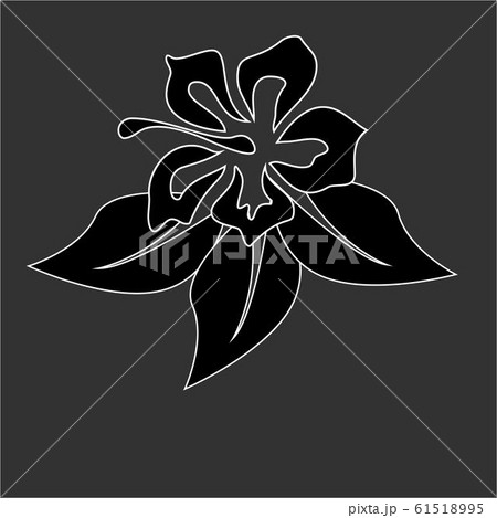 Collection with hibiscus flower. Hibiscus flower. Collection with hibiscus flower. Hibiscus flower. 61518995