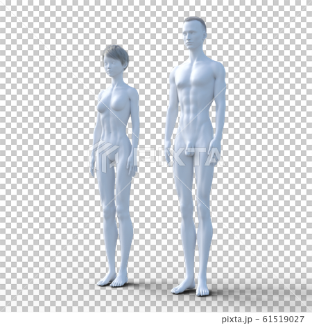 ホワイトボディー 人体図 男女 perming3DCGイラスト素材 ホワイトボディー 人体図 男女 perming3DCGイラスト素材 61519027
