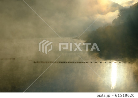 朝霧の大滝ダム湖（奈良県吉野郡川上村） 61519620