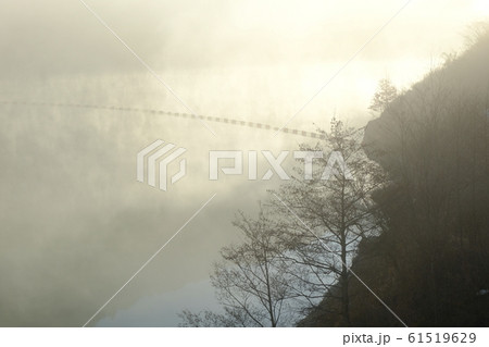 朝霧の大滝ダム湖(奈良県吉野郡川上村) 朝霧の大滝ダム湖(奈良県吉野郡川上村) 61519629