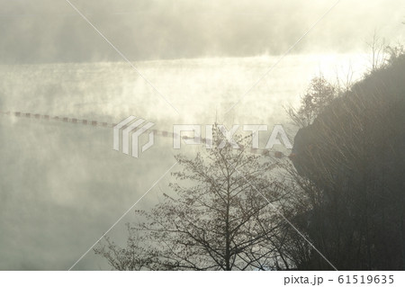 朝霧の大滝ダム湖（奈良県吉野郡川上村） 61519635