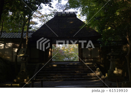 法然院 山門 法然院 山門 61519910