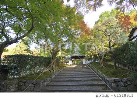 安楽寺 山門 安楽寺 山門 61519913