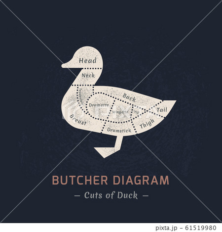 Cutting duck or goose meat. 61519980