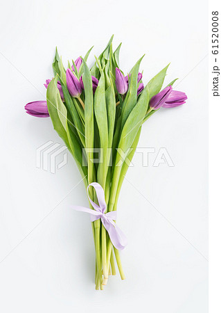 Bouquet of purple tulips on white top view Bouquet of purple tulips on white top view 61520008