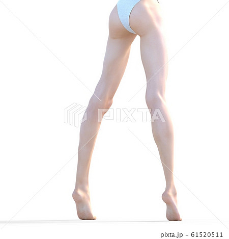 美しい女性の脚 perming3DCG イラスト素材 美しい女性の脚 perming3DCG イラスト素材 61520511