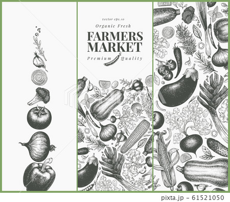 Vegetables hand drawn vector banner set. Retro Vegetables hand drawn vector banner set. Retro 61521050