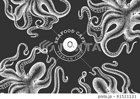 Octopus design template. Hand drawn vector seafood 61521131