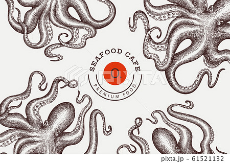 Octopus design template. Hand drawn vector seafood Octopus design template. Hand drawn vector seafood 61521132