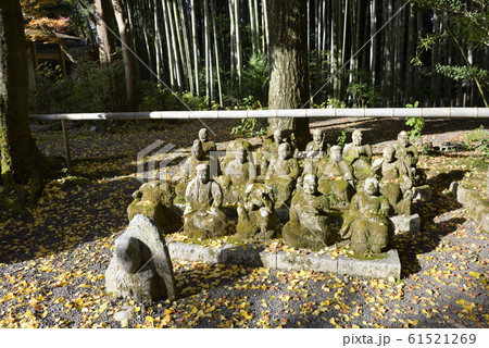 赤山禅院　羅漢と石仏 61521269