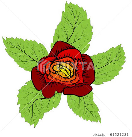 Red rose for textile design. Wedding, love, 61521281