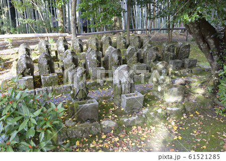 赤山禅院　羅漢と石仏 61521285