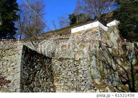 青空の下　冬枯れの備中松山城　 61521456