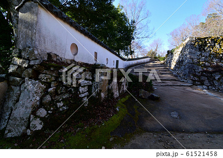 青空の下　冬枯れの備中松山城　 61521458