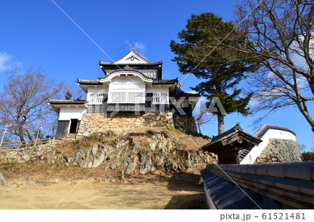 青空の下 冬枯れの備中松山城 青空の下 冬枯れの備中松山城 61521481