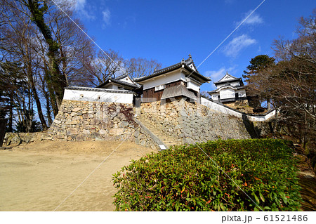 青空の下 冬枯れの備中松山城 青空の下 冬枯れの備中松山城 61521486