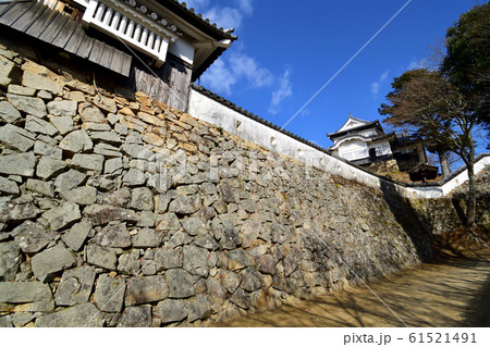 青空の下　冬枯れの備中松山城　 61521491