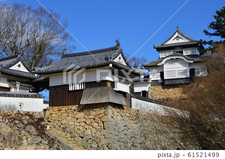青空の下　冬枯れの備中松山城　 61521499