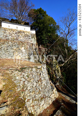 青空の下 冬枯れの備中松山城 青空の下 冬枯れの備中松山城 61521504