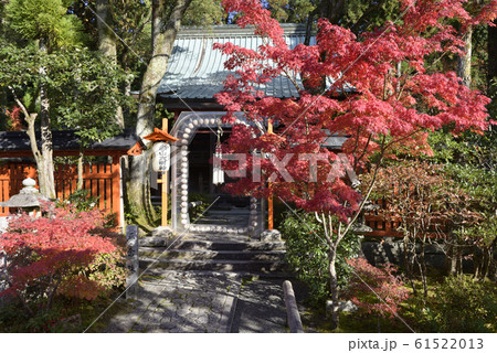赤山禅院　本殿 61522013
