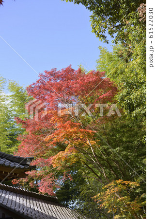 赤山禅院 拝殿 赤山禅院 拝殿 61522030