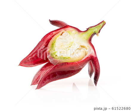 fresh roselle hibiscus on white background fresh roselle hibiscus on white background 61522680