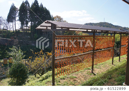 干し柿の里 61522899