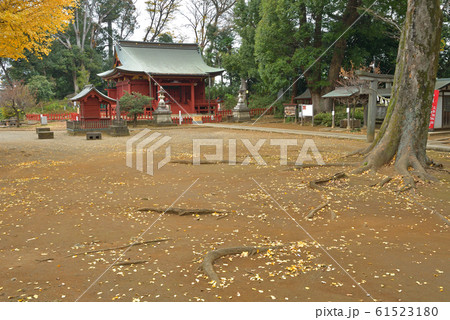 川越散歩:三芳野神社 川越城の鎮守 川越散歩:三芳野神社 川越城の鎮守 61523180