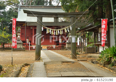 川越散歩：三芳野神社　川越城の鎮守 61523190