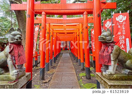 大杉神社　鳥居 61523619