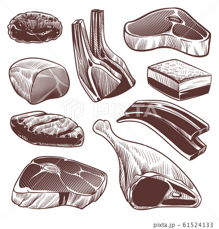 Sketch meat. Hand drawn fresh raw meat products collection, beef steak and ham, pork fillet and lamb chops menu retro design vector set 61524133