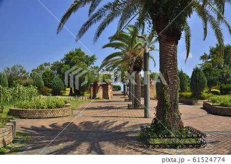 【神奈川】横須賀　うみかぜ公園の風景 61524774