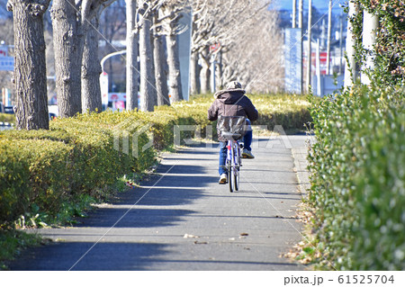 自転車に乗るシニア 61525704