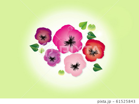 パンジー春の花ピンク系の花びらのイラストグリーン背景素材のイラスト素材