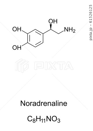 Noradrenaline molecule, norepinephrine skeletal formula. Structure of C8H11NO3. Functions as hormone and neurotransmitter in the brain. Structural formula. Illustration over white. Vector. 61526125