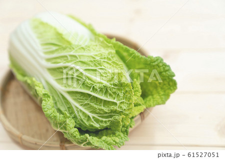 白菜 61527051