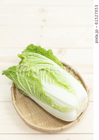 白菜 61527053