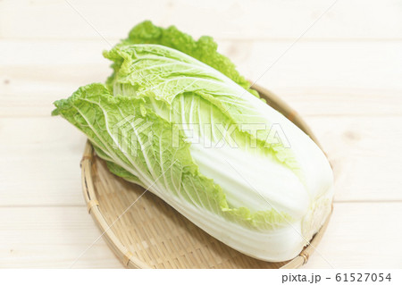 白菜 白菜 61527054