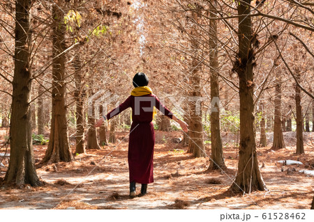 mature woman walk in the forest mature woman walk in the forest 61528462