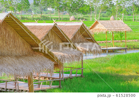 The resting huts constructed from bamboo and thatched roofs for relaxing in the rice fields. The resting huts constructed from bamboo and thatched roofs for relaxing in the rice fields. 61528500